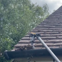 Home Professional gutter cleaning with a gutter scraper removing debris from gutters in Winchmore Hill.